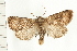  ( - PFC-2006-0354)  @11 [ ] CreativeCommons - Attribution (2008) Unspecified Centre for Biodiversity Genomics