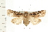  ( - PFC-2006-0366)  @14 [ ] CreativeCommons - Attribution (2008) Unspecified Centre for Biodiversity Genomics