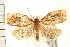  ( - PFC-2006-0523)  @12 [ ] CreativeCommons - Attribution (2008) Unspecified Centre for Biodiversity Genomics