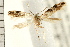  ( - PFC-2006-0695)  @12 [ ] CreativeCommons - Attribution (2008) Unspecified Centre for Biodiversity Genomics