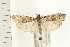  ( - PFC-2006-0709)  @13 [ ] CreativeCommons - Attribution (2008) Unspecified Centre for Biodiversity Genomics