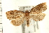  ( - PFC-2006-0725)  @13 [ ] CreativeCommons - Attribution (2008) Unspecified Centre for Biodiversity Genomics