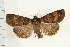  ( - PFC-2006-1294)  @14 [ ] CreativeCommons - Attribution (2009) Unspecified Centre for Biodiversity Genomics