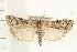  ( - PFC-2006-1332)  @14 [ ] CreativeCommons - Attribution (2009) Unspecified Centre for Biodiversity Genomics