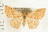  ( - PFC-2006-0774)  @13 [ ] CreativeCommons - Attribution (2008) Unspecified Centre for Biodiversity Genomics