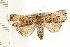  ( - PFC-2006-0798)  @11 [ ] CreativeCommons - Attribution (2008) Unspecified Centre for Biodiversity Genomics