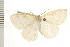  ( - PFC-2006-0817)  @14 [ ] CreativeCommons - Attribution (2008) Unspecified Centre for Biodiversity Genomics