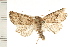 ( - PFC-2006-0834)  @11 [ ] CreativeCommons - Attribution (2008) Unspecified Centre for Biodiversity Genomics