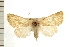  ( - PFC-2006-0865)  @13 [ ] CreativeCommons - Attribution (2008) Unspecified Centre for Biodiversity Genomics
