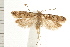  ( - PFC-2006-0941)  @14 [ ] CreativeCommons - Attribution (2008) Unspecified Centre for Biodiversity Genomics