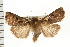  ( - PFC-2006-2503)  @14 [ ] CreativeCommons - Attribution (2009) Unspecified Centre for Biodiversity Genomics