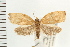  ( - PFC-2006-2519)  @14 [ ] CreativeCommons - Attribution (2009) Unspecified Centre for Biodiversity Genomics