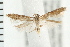  ( - PFC-2006-2524)  @13 [ ] CreativeCommons - Attribution (2009) Unspecified Centre for Biodiversity Genomics