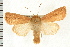  ( - PFC-2006-2530)  @13 [ ] CreativeCommons - Attribution (2009) Unspecified Centre for Biodiversity Genomics