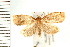  ( - PFC-2006-2533)  @13 [ ] CreativeCommons - Attribution (2009) Unspecified Centre for Biodiversity Genomics