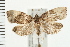  ( - PFC-2006-2547)  @14 [ ] CreativeCommons - Attribution (2009) Unspecified Centre for Biodiversity Genomics