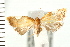  ( - PFC-2006-2551)  @12 [ ] CreativeCommons - Attribution (2009) Unspecified Centre for Biodiversity Genomics