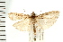  ( - PFC-2006-2552)  @13 [ ] CreativeCommons - Attribution (2009) Unspecified Centre for Biodiversity Genomics