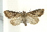  ( - PFC-2006-1335)  @13 [ ] CreativeCommons - Attribution (2009) Unspecified Centre for Biodiversity Genomics
