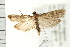  ( - PFC-2006-1351)  @14 [ ] CreativeCommons - Attribution (2009) Unspecified Centre for Biodiversity Genomics