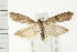  ( - PFC-2006-1353)  @14 [ ] CreativeCommons - Attribution (2009) Unspecified Centre for Biodiversity Genomics