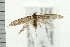  ( - PFC-2006-1360)  @14 [ ] CreativeCommons - Attribution (2009) Unspecified Centre for Biodiversity Genomics