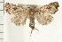  ( - PFC-2006-1368)  @11 [ ] CreativeCommons - Attribution (2009) Unspecified Centre for Biodiversity Genomics