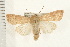  ( - PFC-2006-1398)  @14 [ ] CreativeCommons - Attribution (2009) Unspecified Centre for Biodiversity Genomics