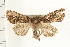  ( - PFC-2006-1421)  @14 [ ] CreativeCommons - Attribution (2009) Unspecified Centre for Biodiversity Genomics