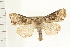  ( - PFC-2006-1423)  @13 [ ] CreativeCommons - Attribution (2009) Unspecified Centre for Biodiversity Genomics