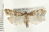  ( - PFC-2006-1430)  @13 [ ] CreativeCommons - Attribution (2009) Unspecified Centre for Biodiversity Genomics