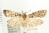  ( - PFC-2006-1540)  @14 [ ] CreativeCommons - Attribution (2009) Unspecified Centre for Biodiversity Genomics
