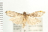  ( - PFC-2006-1541)  @13 [ ] CreativeCommons - Attribution (2009) Unspecified Centre for Biodiversity Genomics