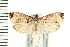  ( - PFC-2006-1566)  @14 [ ] CreativeCommons - Attribution (2009) Unspecified Centre for Biodiversity Genomics