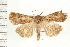  ( - PFC-2006-1664)  @13 [ ] CreativeCommons - Attribution (2009) Unspecified Centre for Biodiversity Genomics