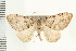  ( - PFC-2006-1671)  @13 [ ] CreativeCommons - Attribution (2009) Unspecified Centre for Biodiversity Genomics
