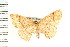  ( - PFC-2006-1679)  @13 [ ] CreativeCommons - Attribution (2009) Unspecified Centre for Biodiversity Genomics