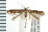  ( - PFC-2006-1815)  @13 [ ] CreativeCommons - Attribution (2009) Unspecified Centre for Biodiversity Genomics