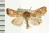  ( - PFC-2006-1829)  @11 [ ] CreativeCommons - Attribution (2009) Unspecified Centre for Biodiversity Genomics