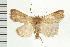  ( - PFC-2006-1830)  @11 [ ] CreativeCommons - Attribution (2009) Unspecified Centre for Biodiversity Genomics