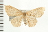  ( - PFC-2006-1833)  @12 [ ] CreativeCommons - Attribution (2009) Unspecified Centre for Biodiversity Genomics