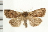  ( - PFC-2006-1854)  @14 [ ] CreativeCommons - Attribution (2009) Unspecified Centre for Biodiversity Genomics