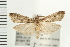  ( - PFC-2006-1865)  @14 [ ] CreativeCommons - Attribution (2009) Unspecified Centre for Biodiversity Genomics