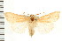  ( - PFC-2006-1935)  @14 [ ] CreativeCommons - Attribution (2009) Unspecified Centre for Biodiversity Genomics