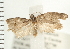  ( - PFC-2006-1961)  @12 [ ] CreativeCommons - Attribution (2009) Unspecified Centre for Biodiversity Genomics