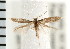  ( - PFC-2006-1990)  @13 [ ] CreativeCommons - Attribution (2009) Unspecified Centre for Biodiversity Genomics