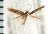  ( - PFC-2006-1991)  @13 [ ] CreativeCommons - Attribution (2009) Unspecified Centre for Biodiversity Genomics