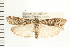  ( - PFC-2006-2006)  @14 [ ] CreativeCommons - Attribution (2009) Unspecified Centre for Biodiversity Genomics