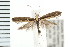  ( - PFC-2006-2015)  @14 [ ] CreativeCommons - Attribution (2009) Unspecified Centre for Biodiversity Genomics