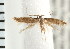  ( - PFC-2006-2019)  @13 [ ] CreativeCommons - Attribution (2009) Unspecified Centre for Biodiversity Genomics